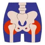 Women Pelvic Health Wellness