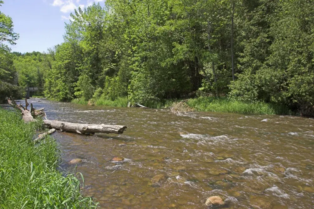 Credit River Ontario Credit River Ontario
