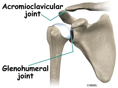Shoulder Distal Clav Osteolysis Anatomy
