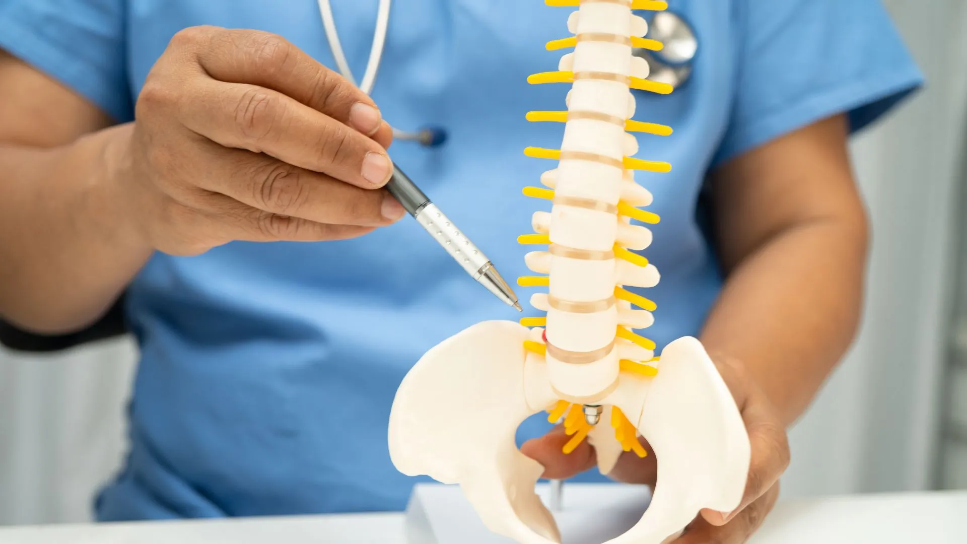 C5 Spinal Cord C5 Spinal Cord