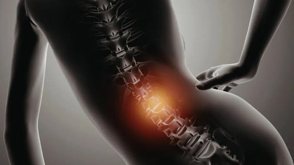 Lumbar Spine Lumbar Spine