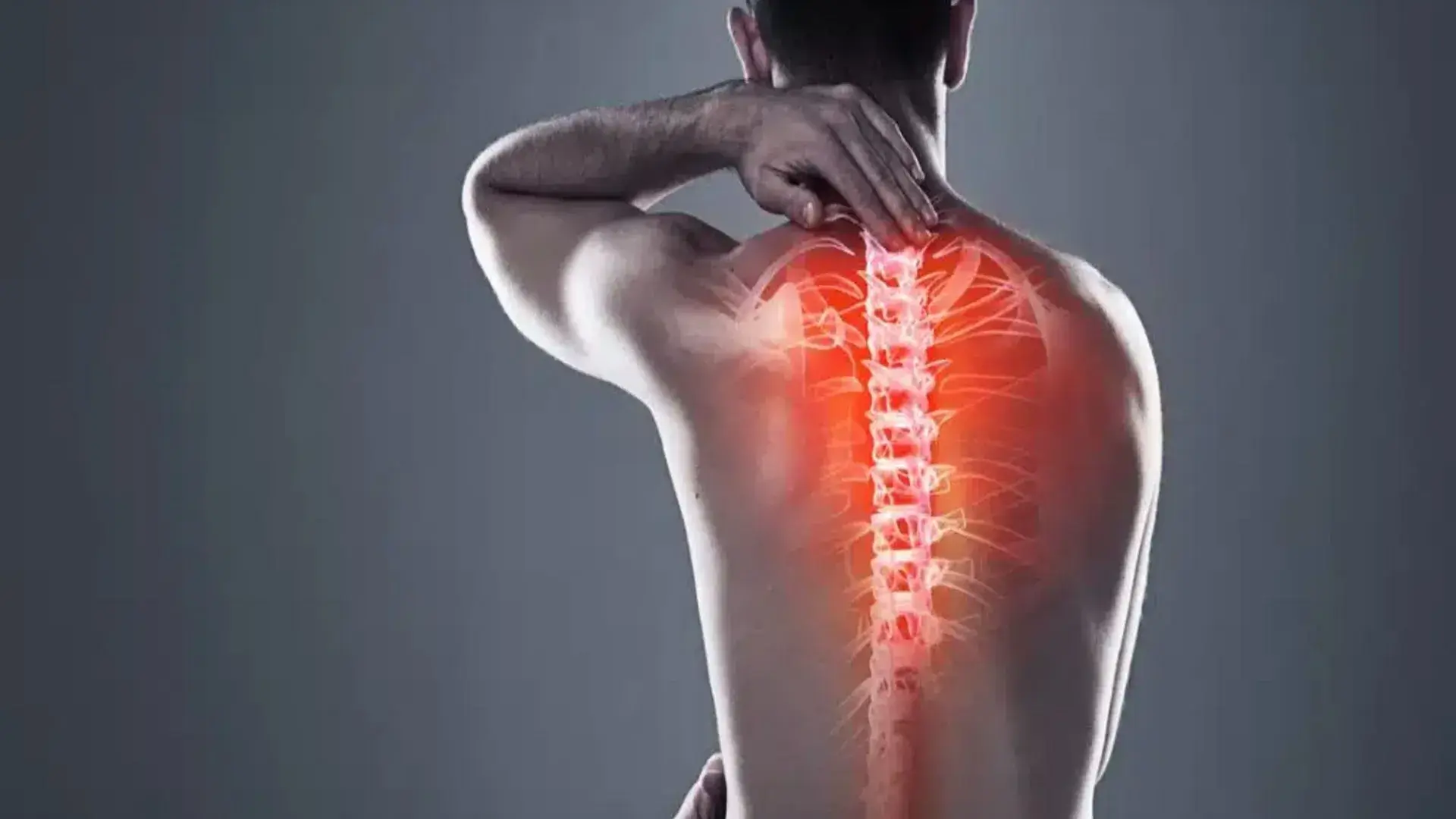 Role Within the Thoracic Spine