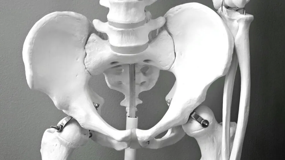 Sacrum Sacrum