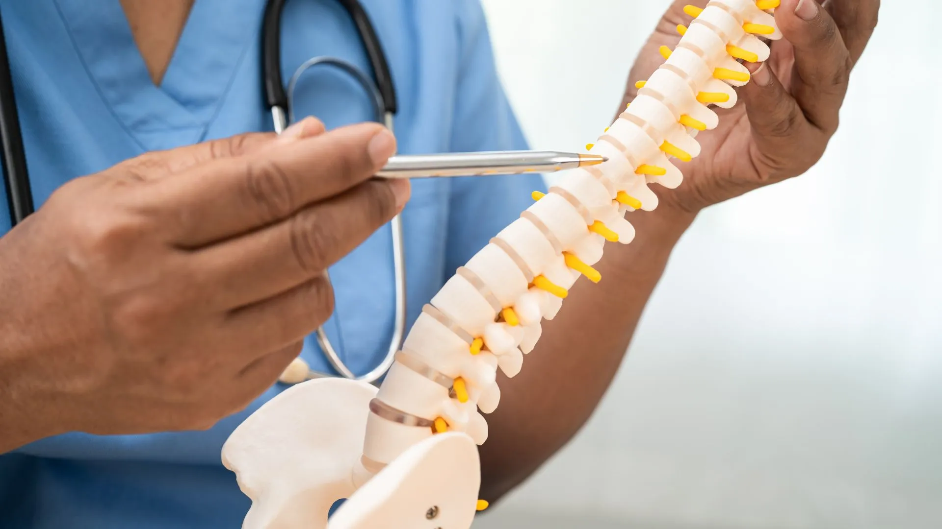 T1 Spinal Cord T1 Spinal Cord