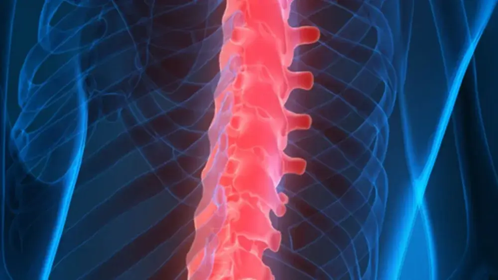 To liver solar plexus circulation general heart esophagus stomach t5 To liver, solar plexus, circulation (general), heart, esophagus, stomach